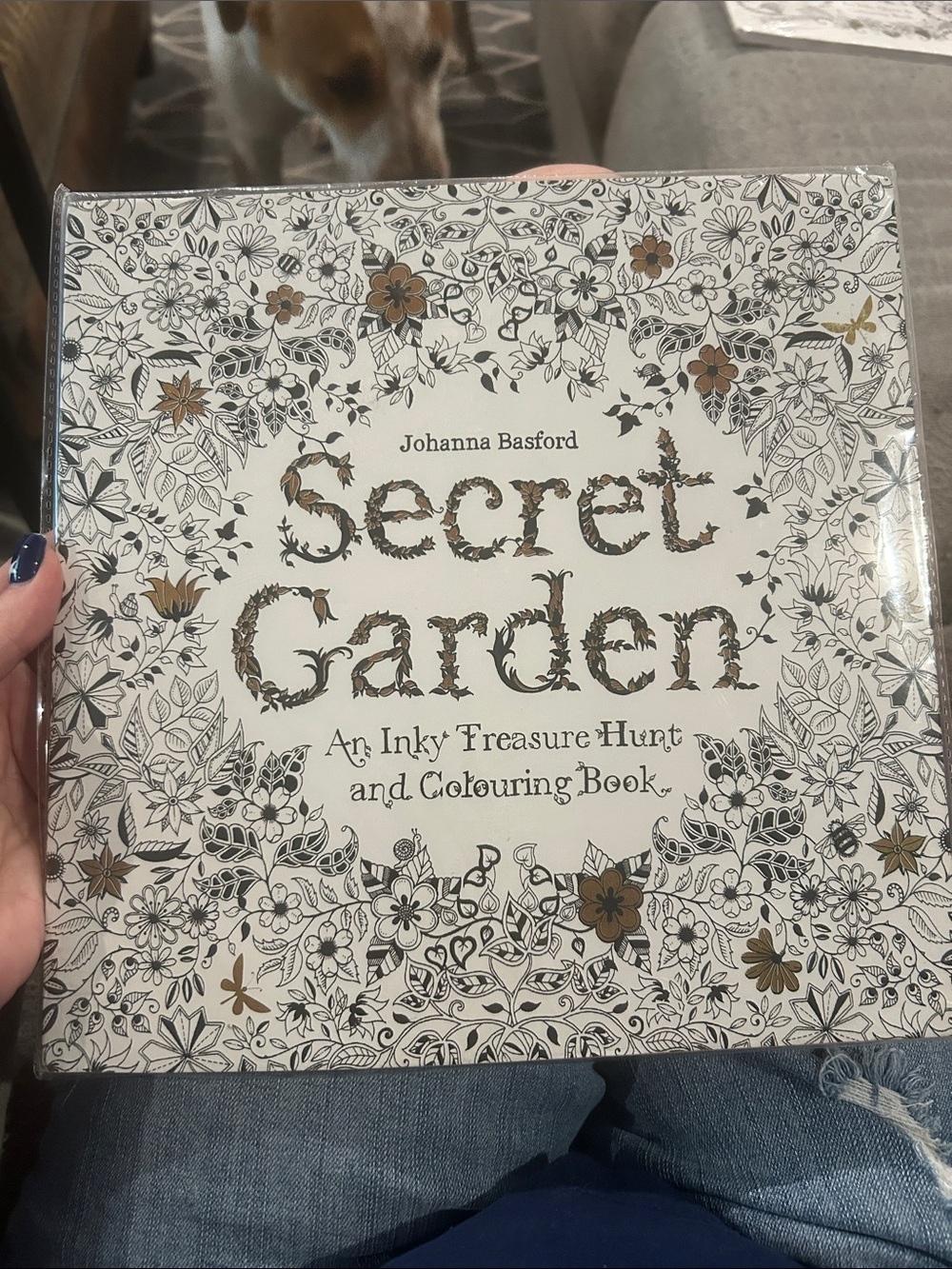 Johanna Basford-Secret Garden Coloring Book